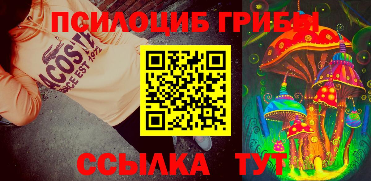 Псилоцибиновые грибы прущие грибы  Вход с VPN  Михайловск  Псилоцибиновые грибы мицелий 