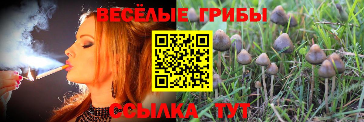 Гашиш  Кокаин  Канабис  Cocaine  Михайловск  Вход с VPN  Меф МЯУ МЯУ  